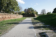 Img 230
